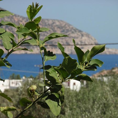 Ξενοδοχείο&Επιπλωμένα Διαμερίσματα Βαρδές Αμμοοπή Εξωτερικό φωτογραφία