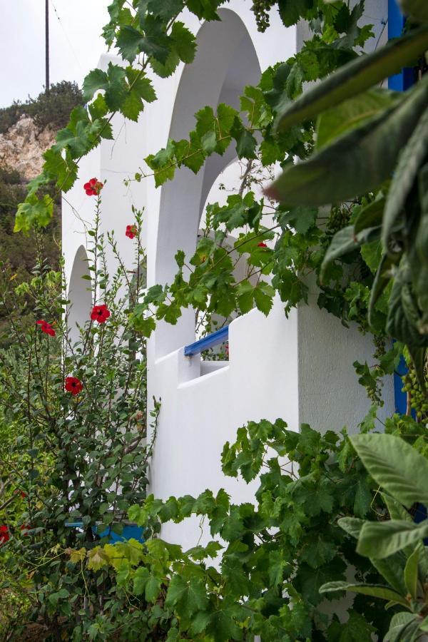 Ξενοδοχείο&Επιπλωμένα Διαμερίσματα Βαρδές Αμμοοπή Εξωτερικό φωτογραφία